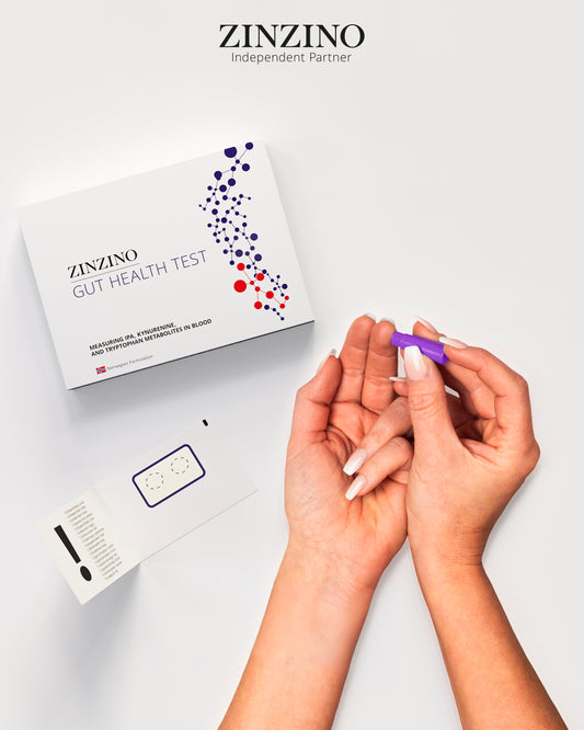 Zinzino Home Test